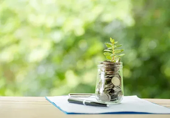A glass jar of coins with a small plant growing from it, standing on paperwork against greenery